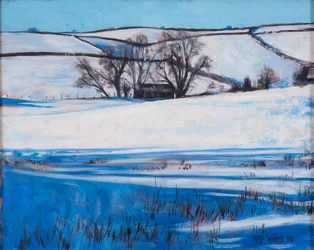 Snow Shadows, 2010